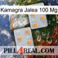 Kamagra Jelly 100 Mg 25